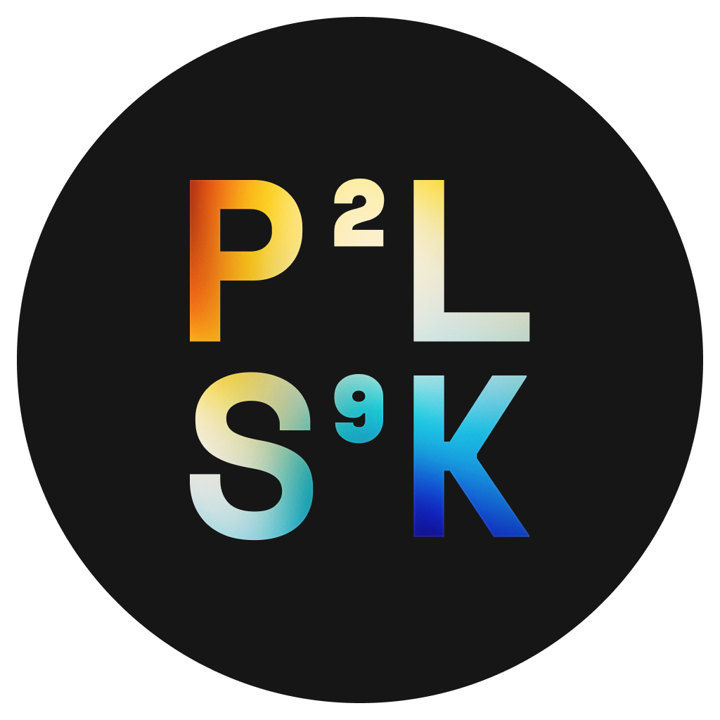 P2LS9K GmbH Logo